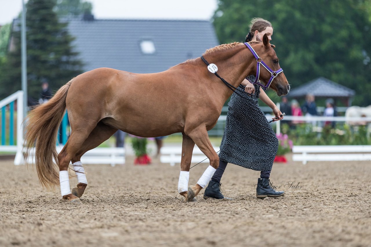 Bild 148 - Pony Akademie Turnier